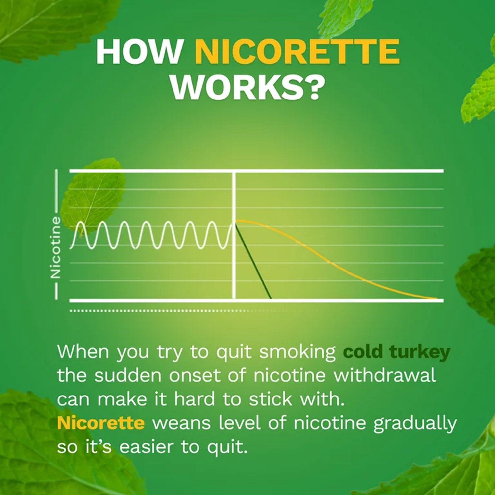 Nicorette Stop Smoking Aid Gum 4 mg Spearmint Burst with a Hint of Chamomile