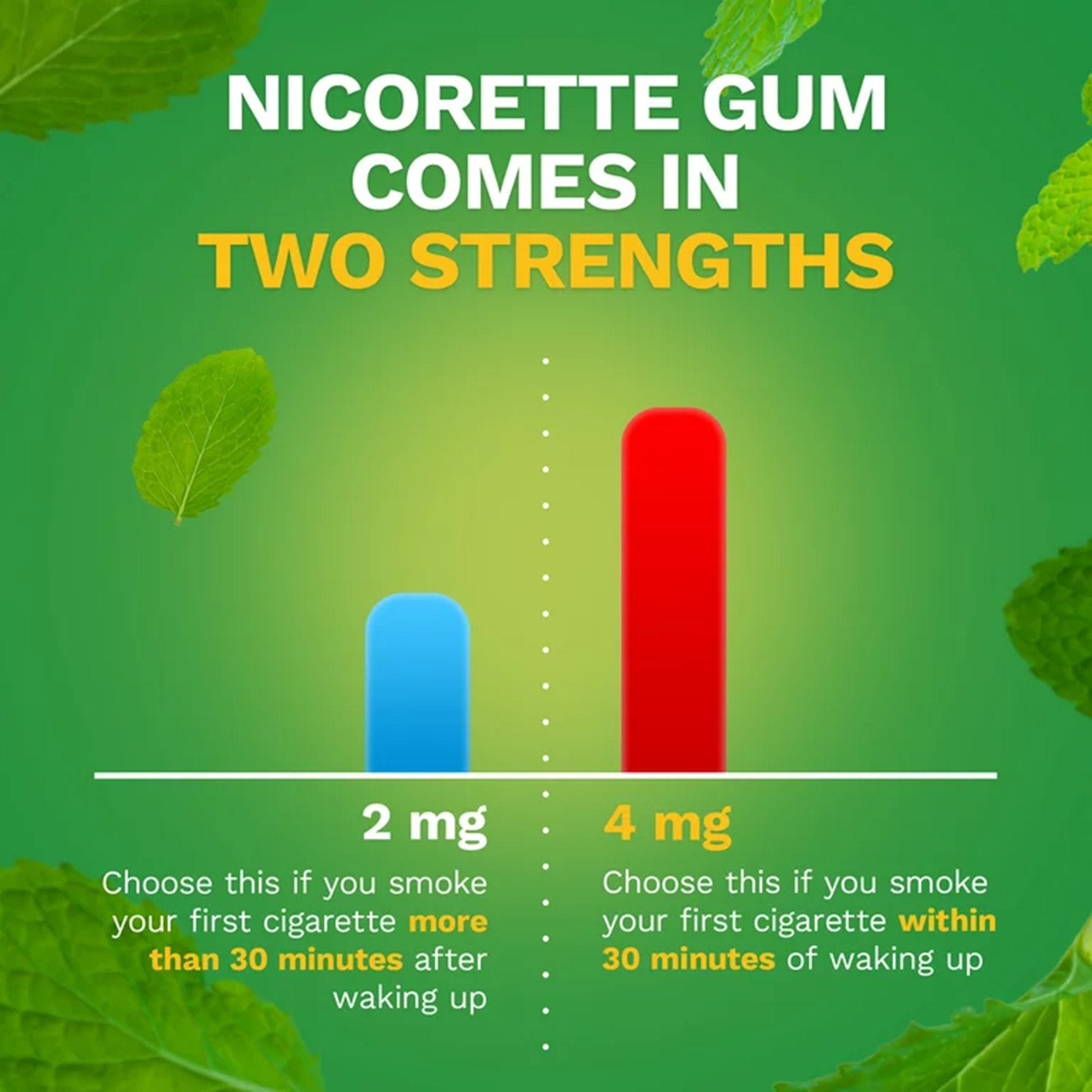 Nicorette Stop Smoking Aid Gum 4 mg Spearmint Burst with a Hint of Chamomile