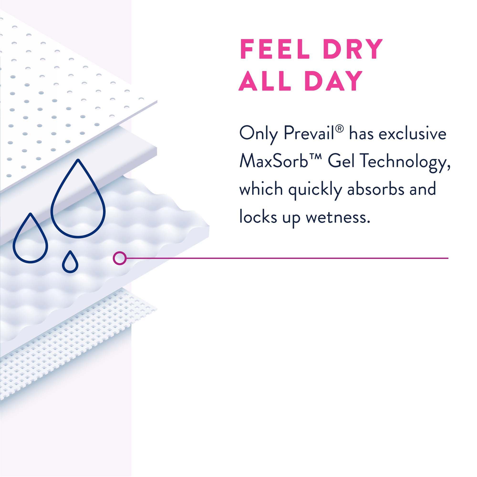 Prevail Daily Absorbent Underwear, X-Large, Lavender