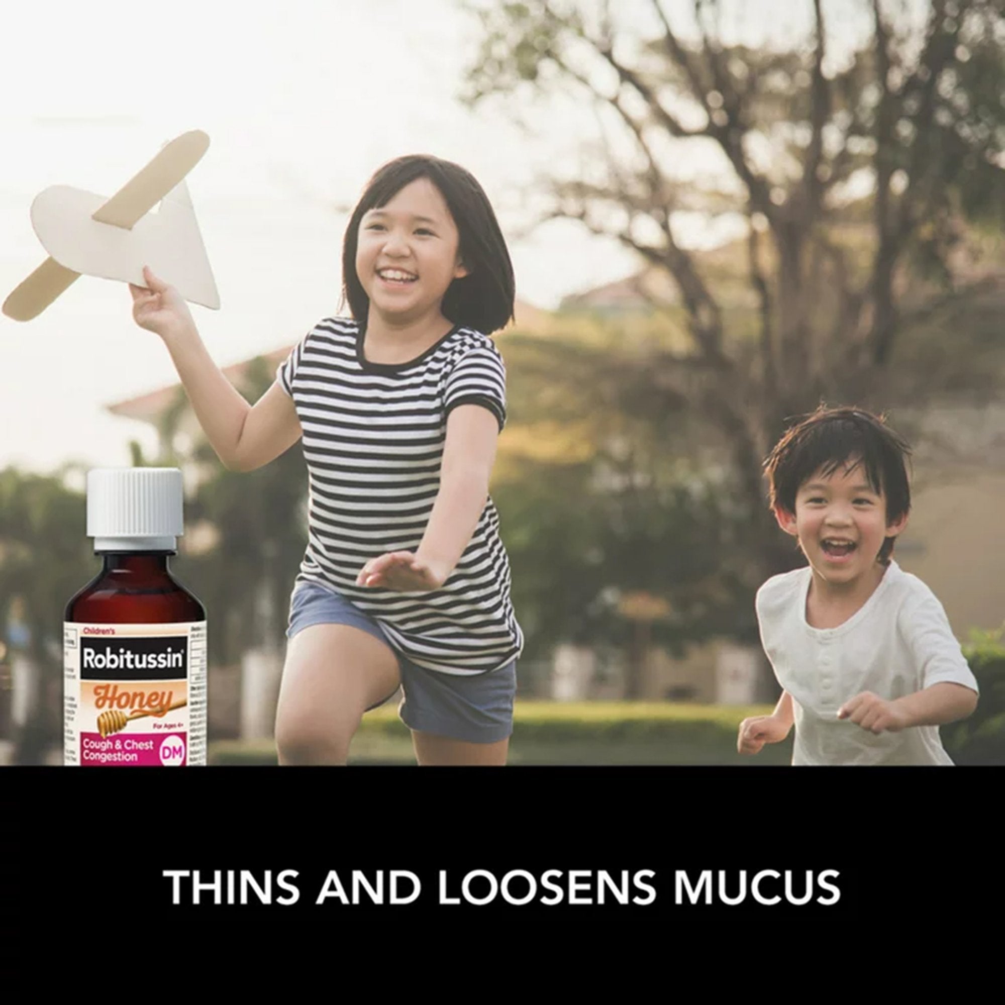 Robitussin Children's Honey Cough & Chest Congestion DM Liquid