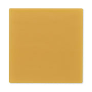 HolliHesive™ Skin Barrier Wafer, 10 x 10 Centimeter