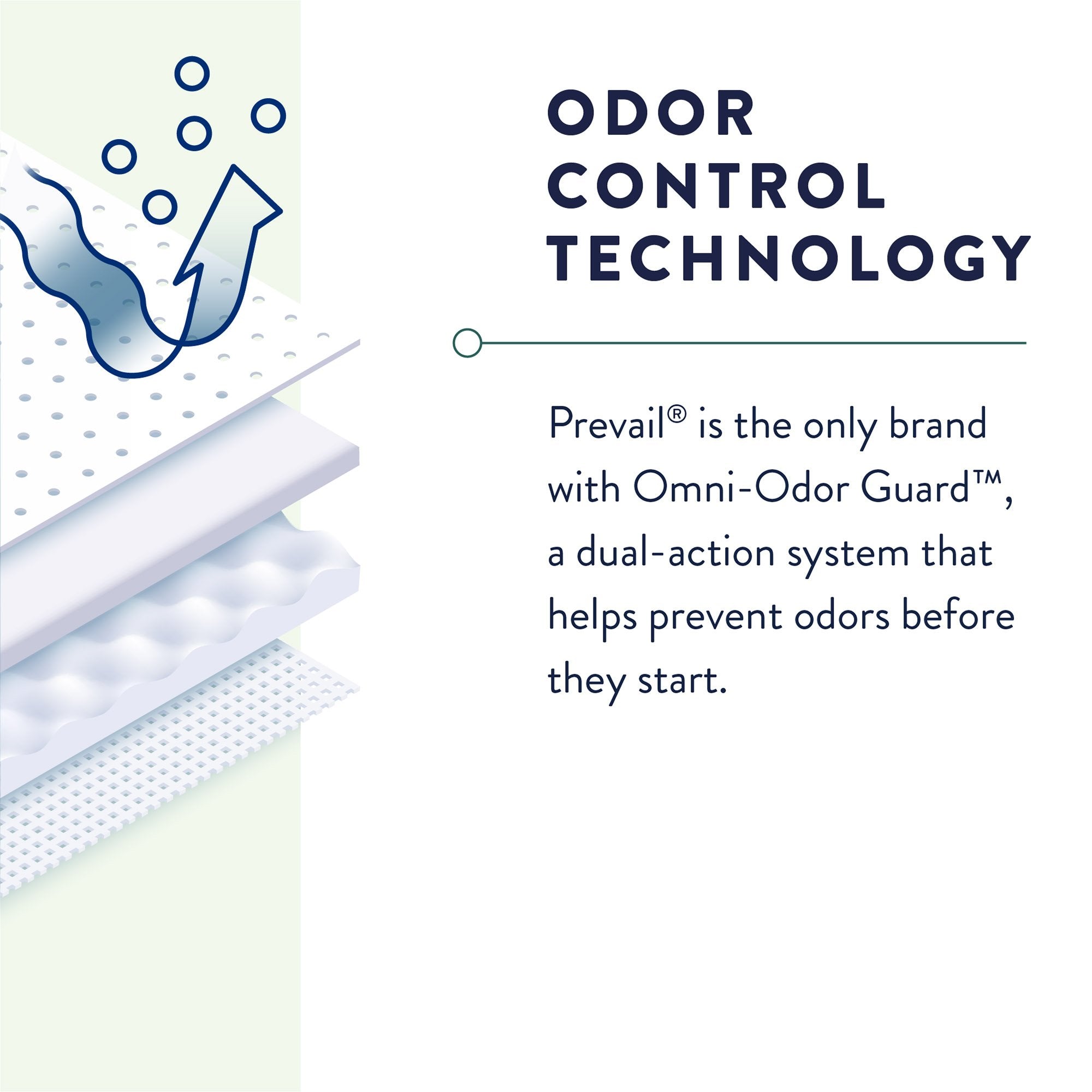 Prevail Maximum Absorbent Underwear