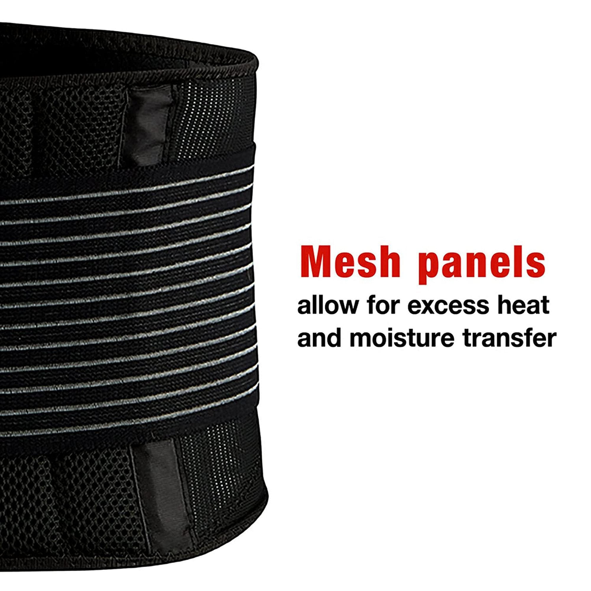 3M Ace Adult Back Brace